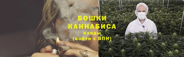 ECSTASY Богданович