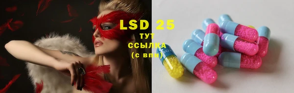 ECSTASY Богданович