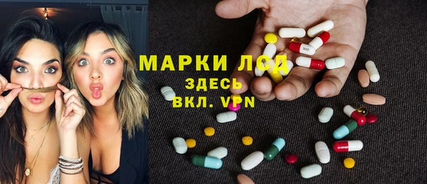 ECSTASY Богданович