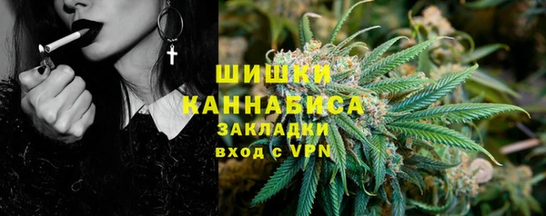 ECSTASY Богданович