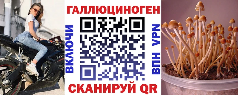 Псилоцибиновые грибы MAGIC MUSHROOMS Болгар
